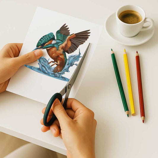 Clipart, Kingfisher, Instant Download